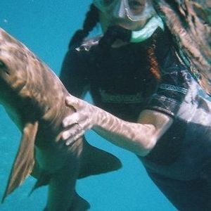 Meet your Posher, Alison